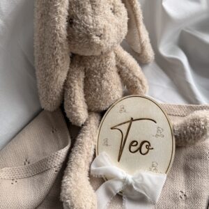 Oznanitvena kartica - medvedki